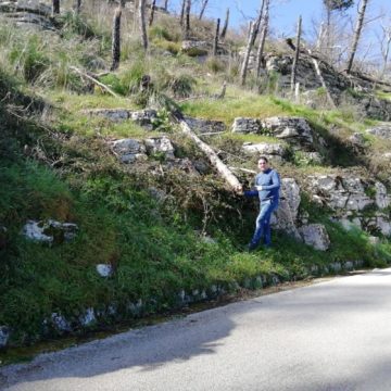 Strada Valderice – Erice,  Gianfranco Palermo: “Vergognosa e pericolosa”